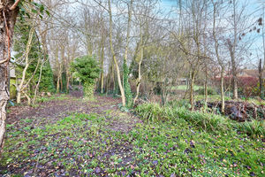 Photo 42- click for photo gallery